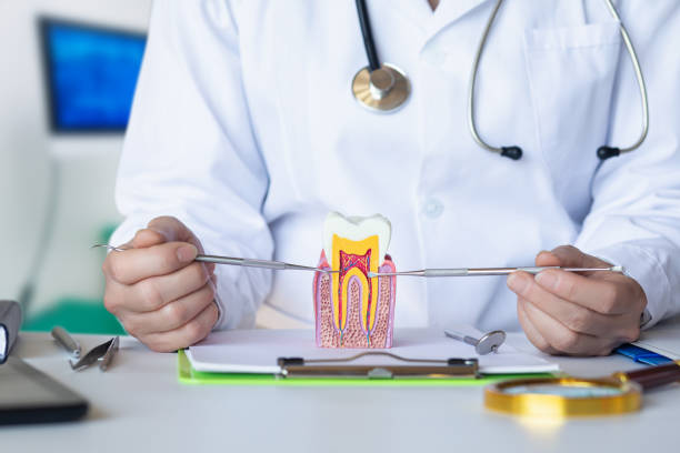 Best Knocked-Out Tooth Emergency  in Stanton, KY
